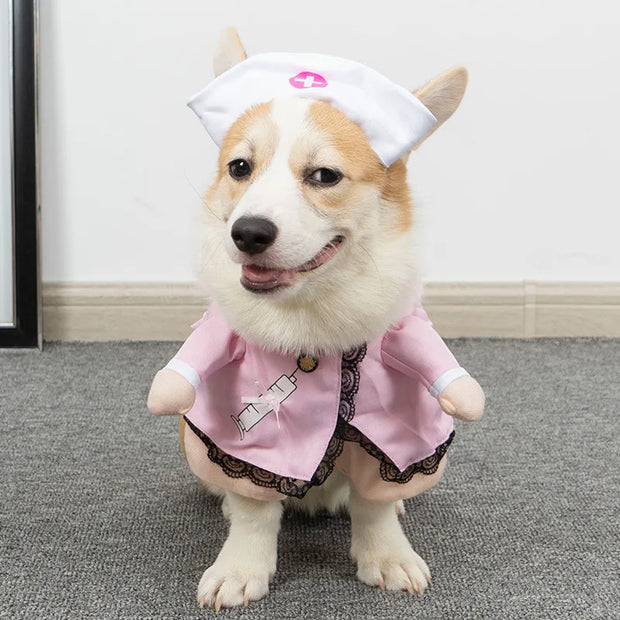 Roupas Engraçadas e Estilosas para o Seu Pet