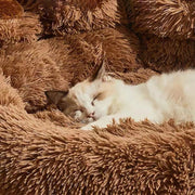 Cama Pata para Pets