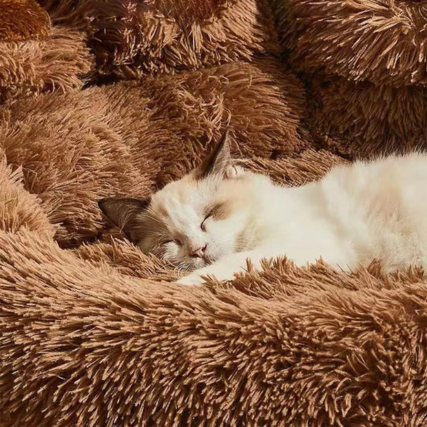 Cama Pata para Pets