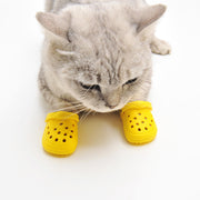 Sapato para Pets (Crocs)