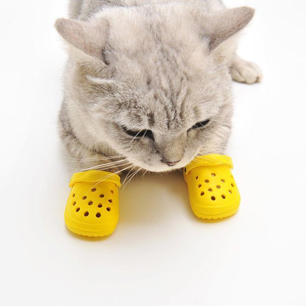 Sapato para Pets (Crocs)